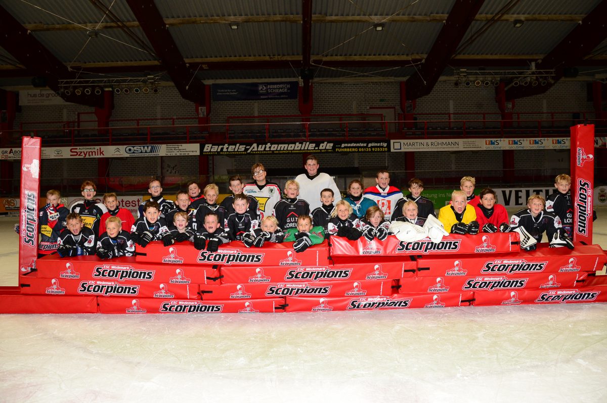 Stiftung eishockey