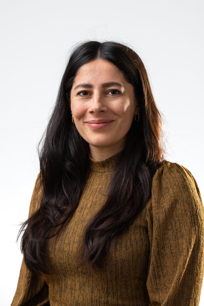 Felek Güler, Projekte Integration